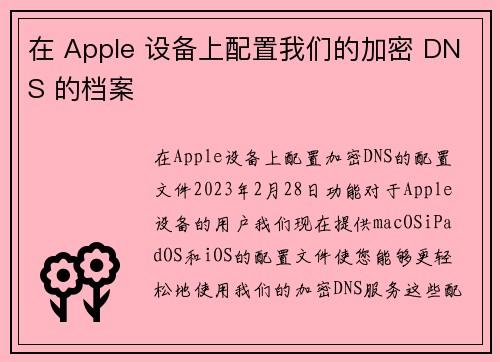 在 Apple 设备上配置我们的加密 DNS 的档案 